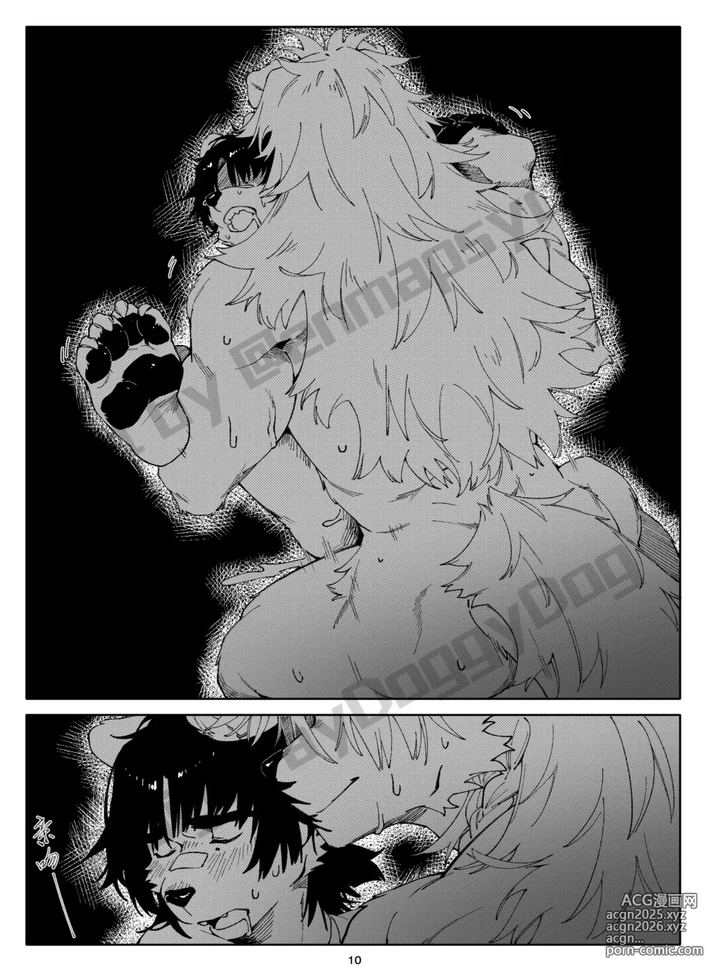 Page 12 of doujinshi A Gift From Mr. GrayPaw