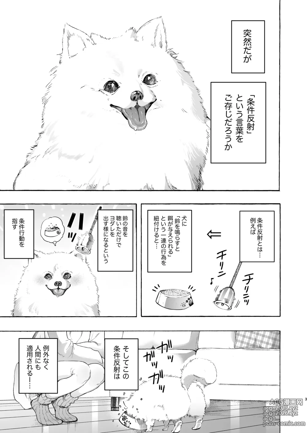 Page 3 of doujinshi Mimi de Koishita Douryou ~OnaSuppo Onsei Otaku Onna ga Douryou no Koe ni Hannou Shite Ikimakuri~