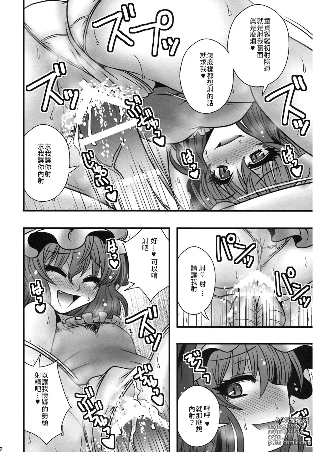 Page 21 of doujinshi 蕾米莉亞女士逆推少年一事