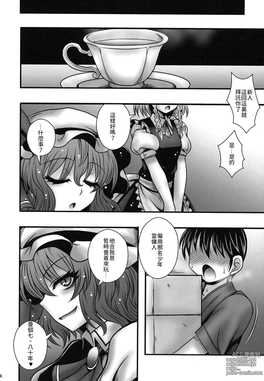 Page 23 of doujinshi 蕾米莉亞女士逆推少年一事