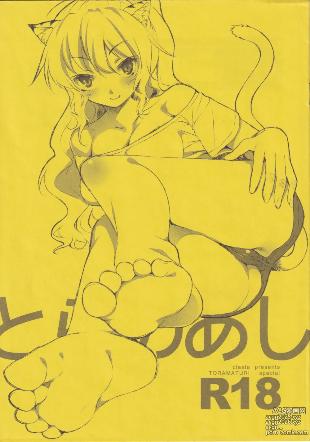 Page 1 of doujinshi Tora no ashi