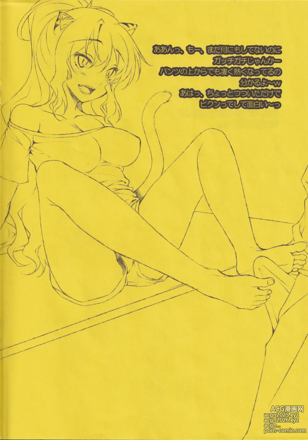 Page 4 of doujinshi Tora no ashi