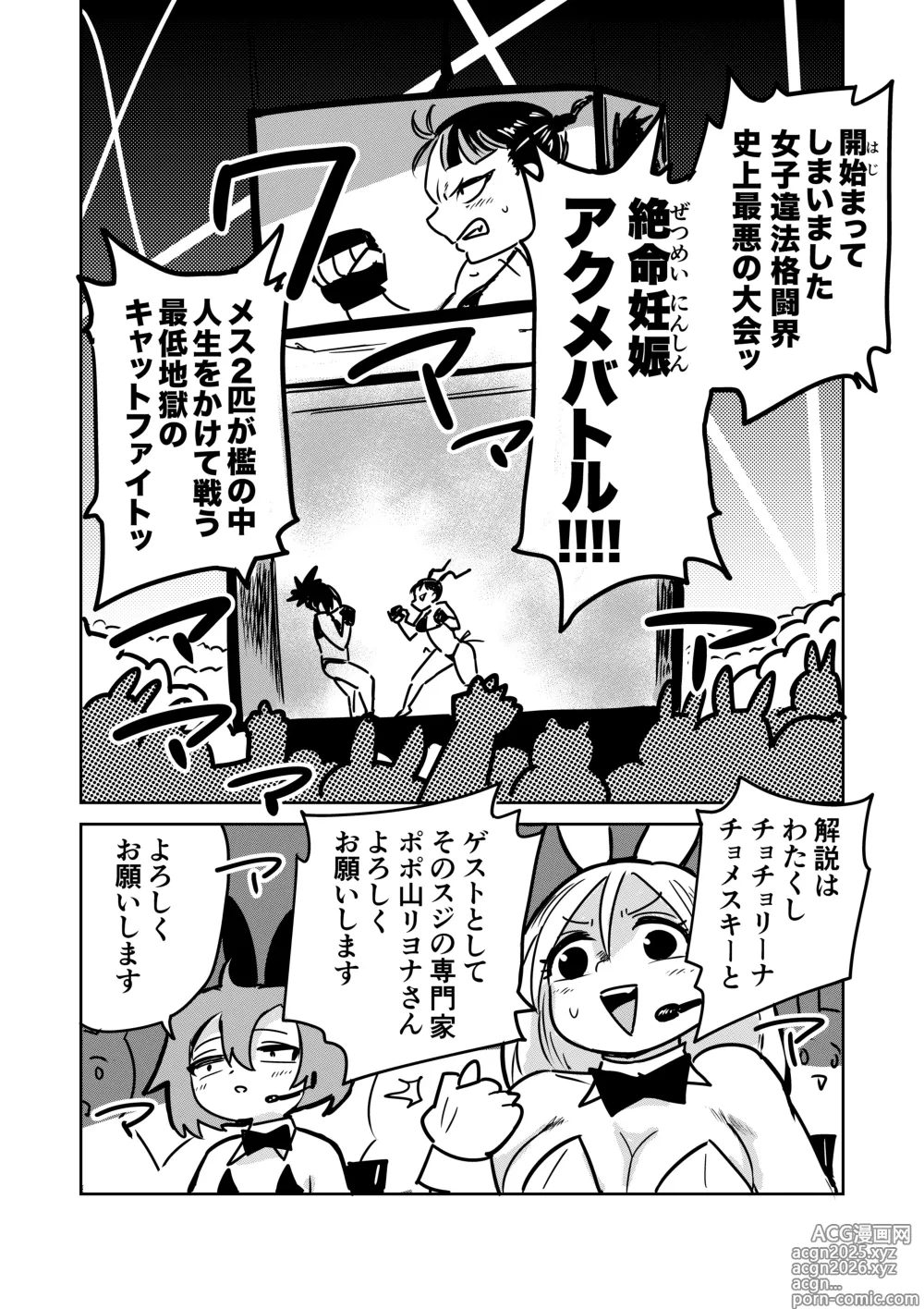 Page 3 of doujinshi Zetsumei Ninshin Akume Battle