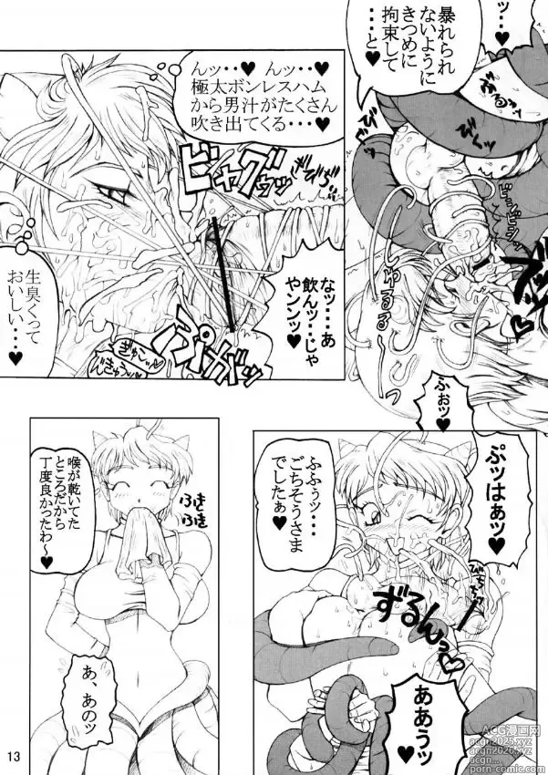 Page 12 of doujinshi Daitetsujin