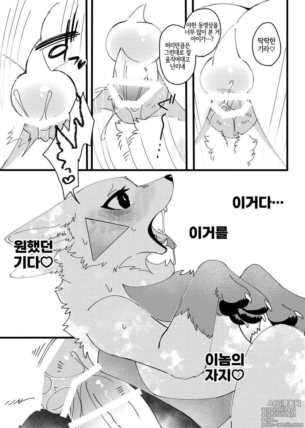 Page 12 of doujinshi 메스가키 명견을 다시 한 번 참교육 하고 싶어