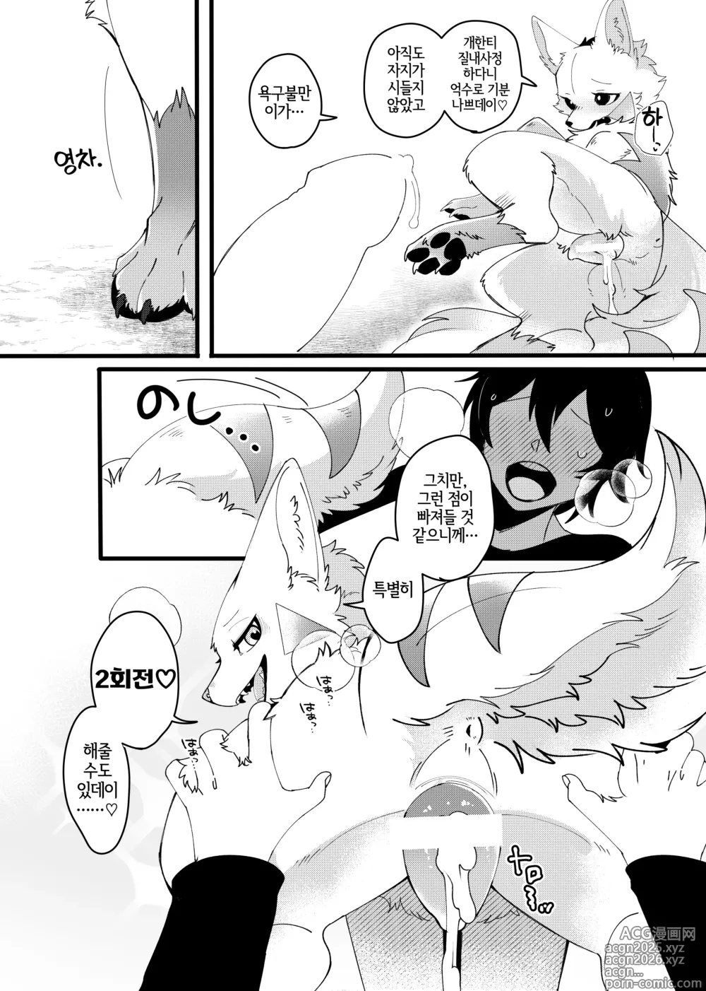 Page 17 of doujinshi 메스가키 명견을 다시 한 번 참교육 하고 싶어