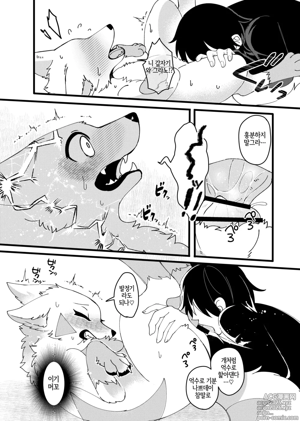 Page 9 of doujinshi 메스가키 명견을 다시 한 번 참교육 하고 싶어