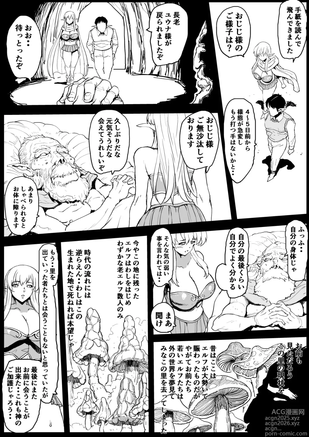 Page 2 of doujinshi Elf no Sato