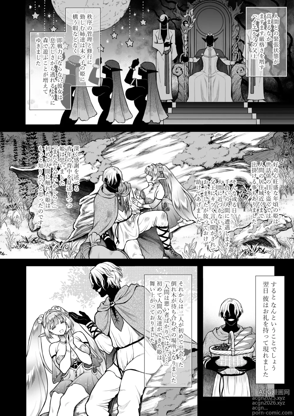 Page 6 of doujinshi Yuukyuu no Shou Elf 6 <Mugen> Kako Hen I