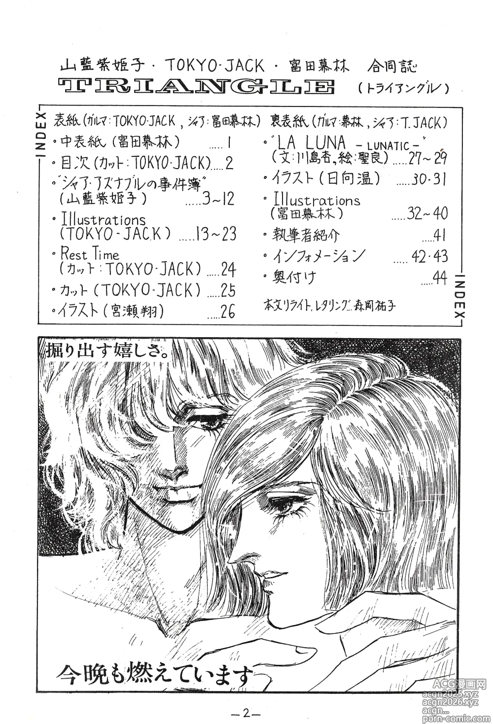 Page 3 of doujinshi TRIANGLE vol. 1