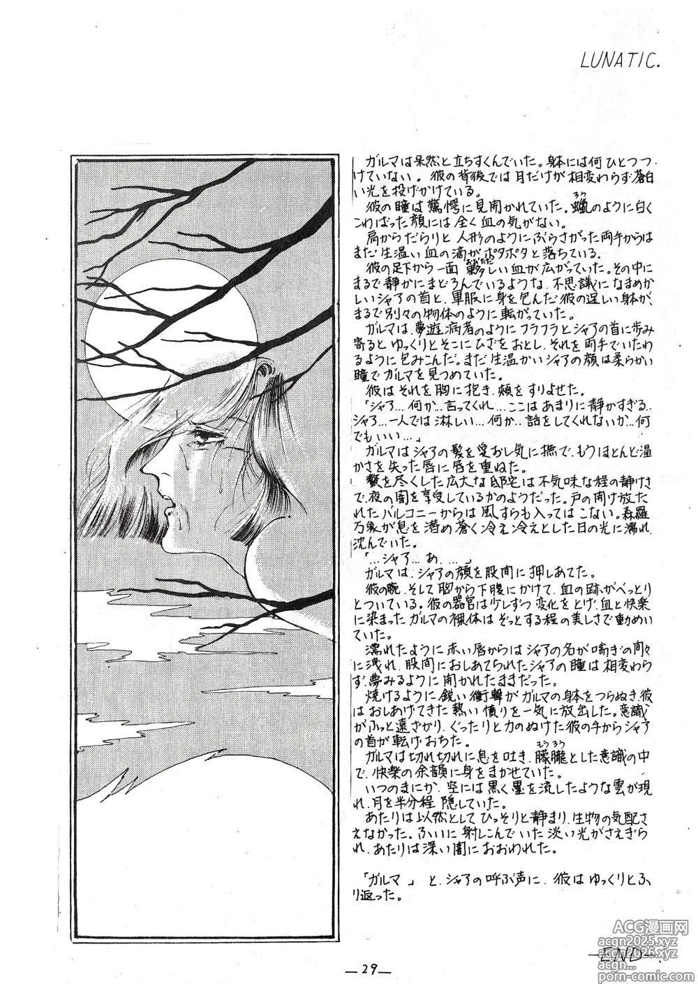 Page 28 of doujinshi TRIANGLE vol. 1