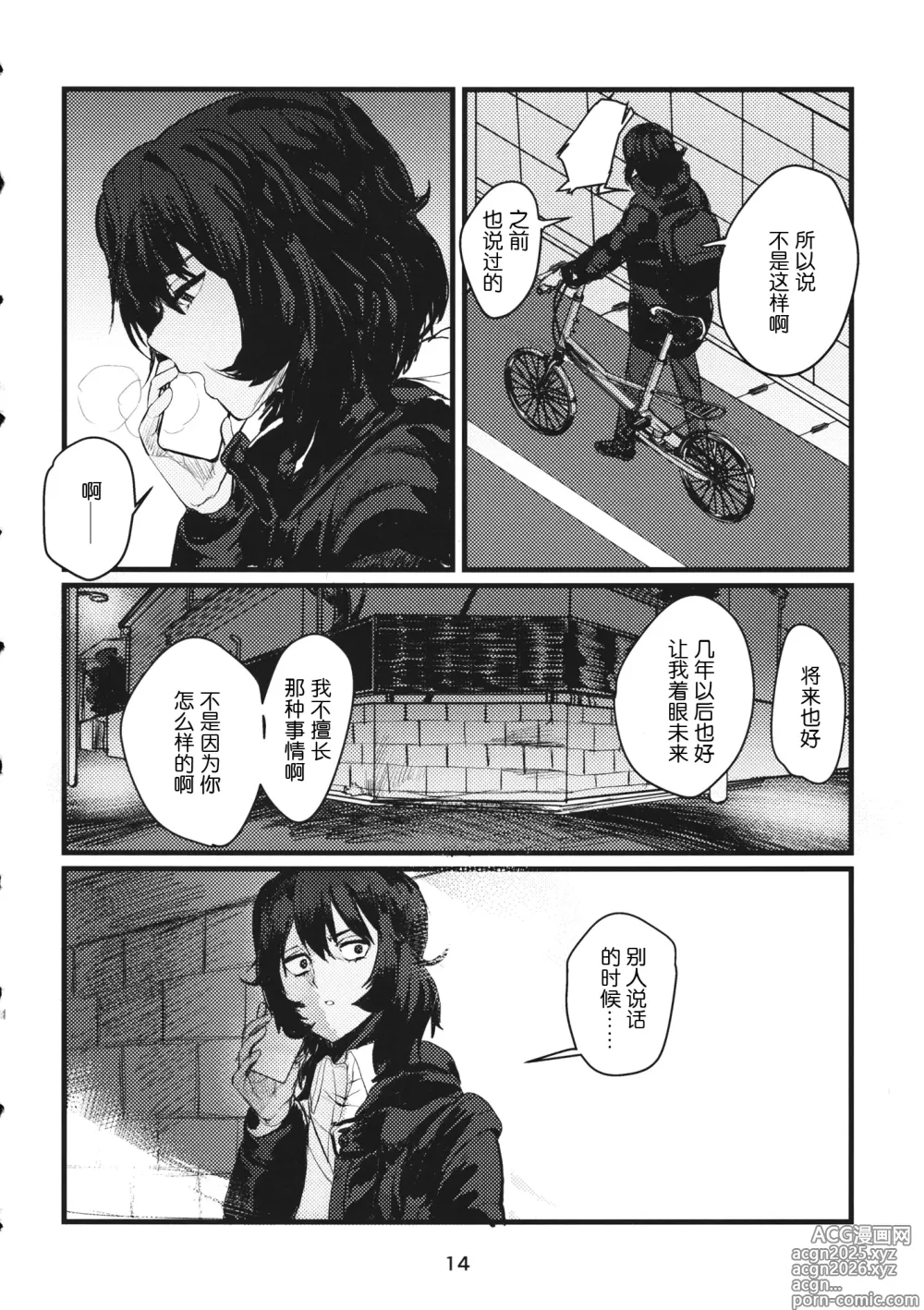 Page 13 of doujinshi 冬之余晖 / 5年的回响