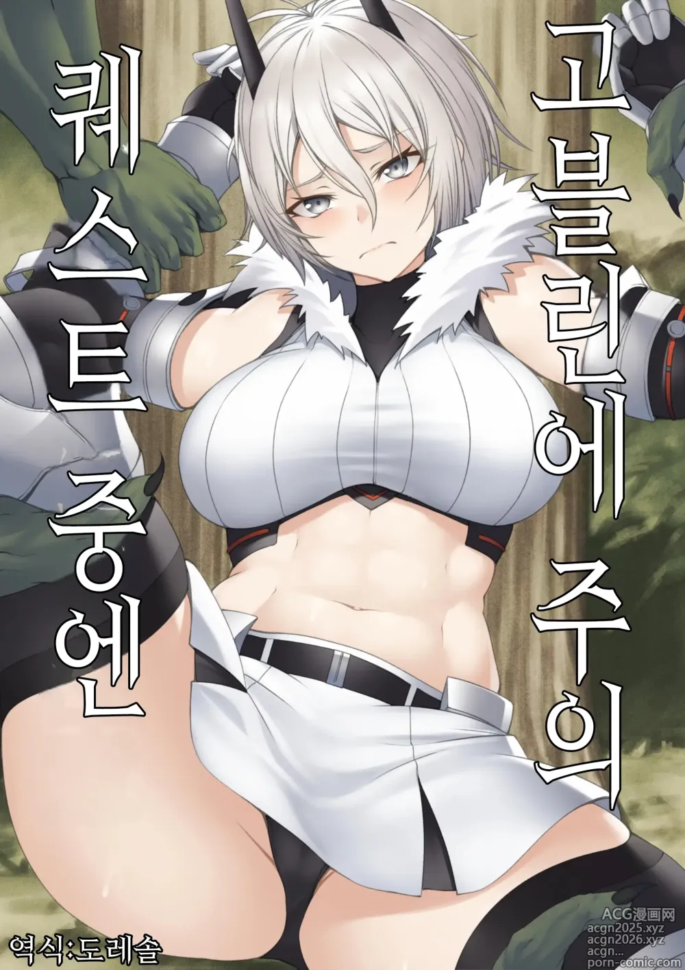 Page 1 of doujinshi Quest-chuu no Goblin ni Gochuui｜퀘스트 중에는 고블린에 주의