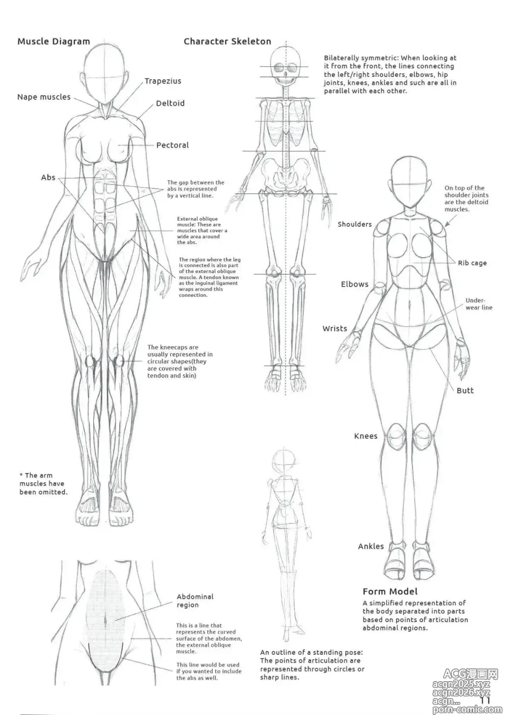 Page 12 of imageset Drawing the Female Figure