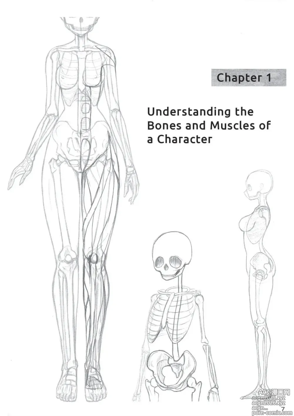 Page 8 of imageset Drawing the Female Figure
