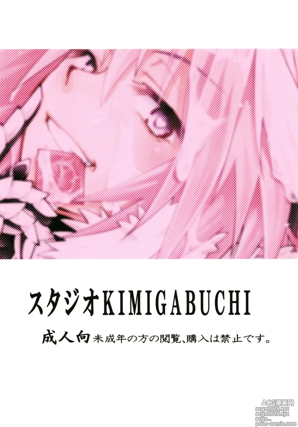 Page 24 of doujinshi Risei Jouhatsu Astolfo