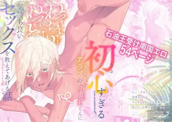 Page 1 of doujinshi 初心(うぶ)すぎるアラブの石油王くんにねっちょりねっとり気持ち良いセックスを教えてあげる話