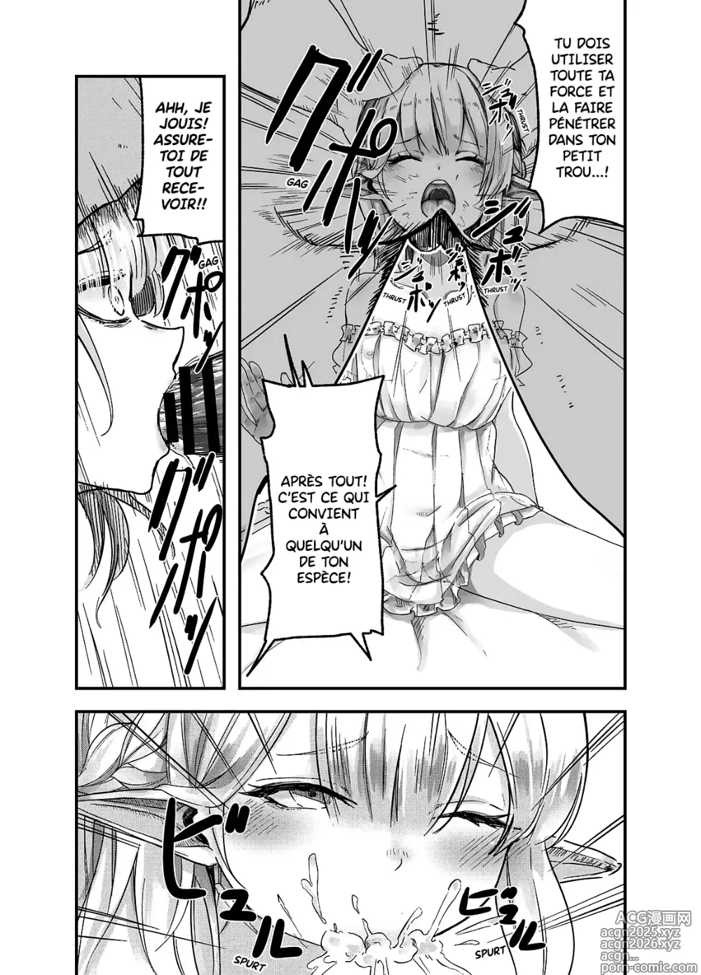 Page 4 of doujinshi Un Livre Sur Le Viol D'une Elfe