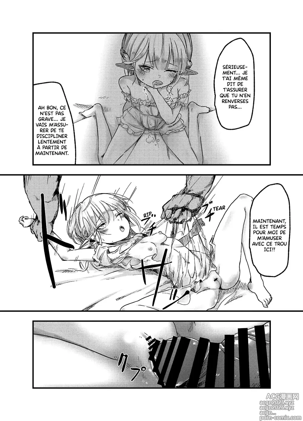 Page 5 of doujinshi Un Livre Sur Le Viol D'une Elfe