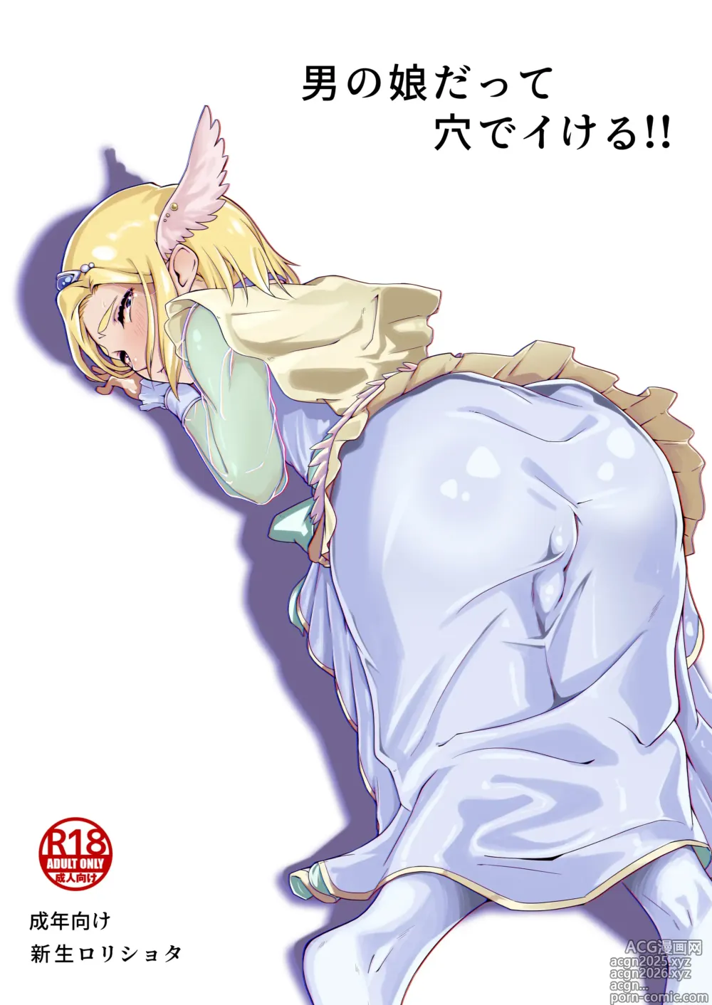 Page 1 of doujinshi Otokonoko datte Ana de Ikeru!!