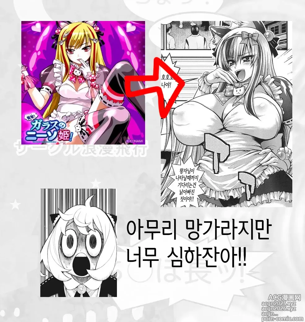 Page 25 of doujinshi 자○에 돌격! 전파공주!