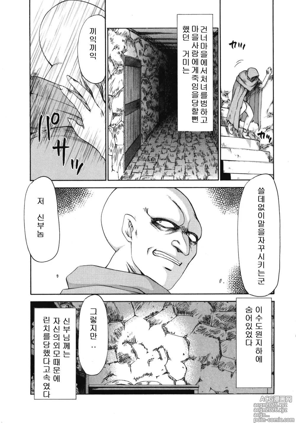 Page 17 of manga 성공주 펠리시아 상편