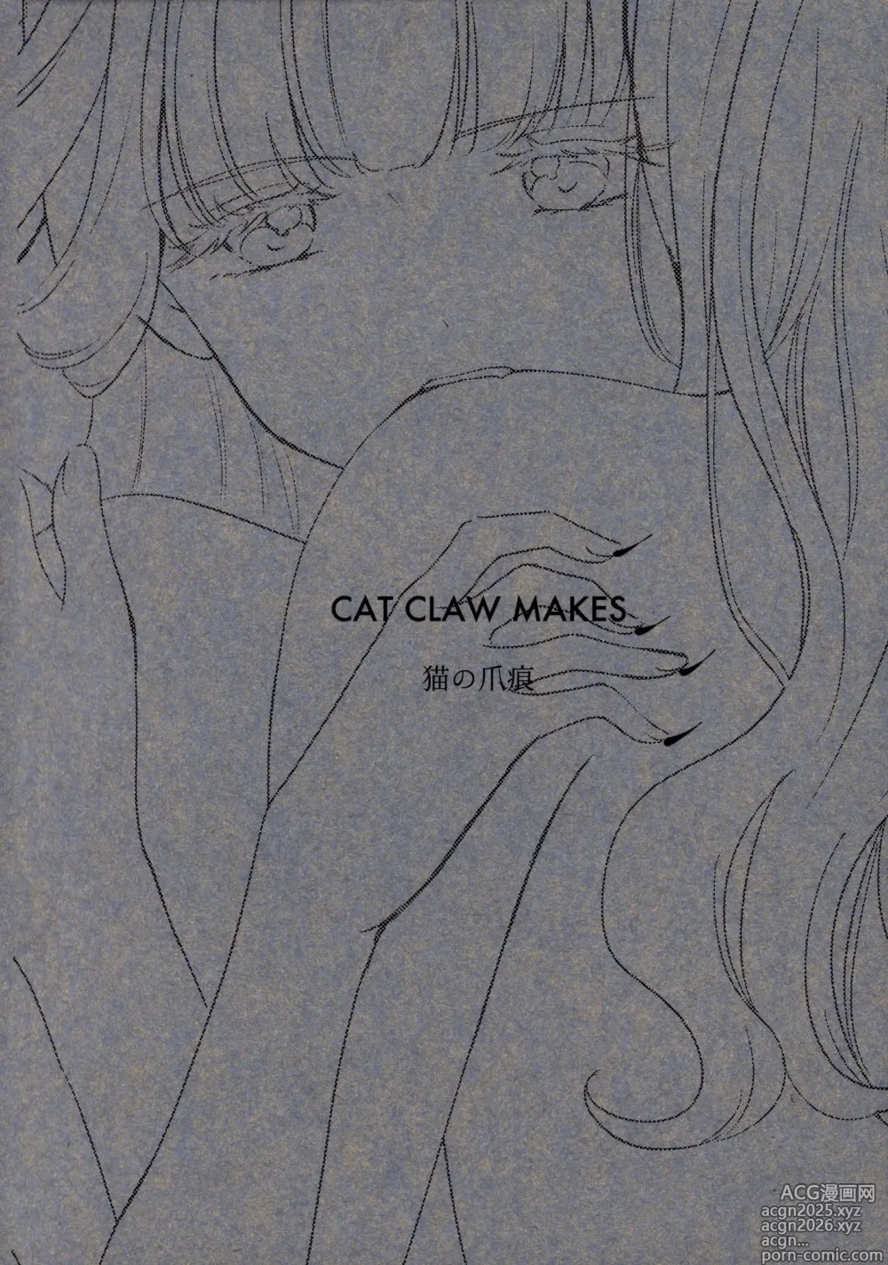 Page 30 of doujinshi 猫の爪痕