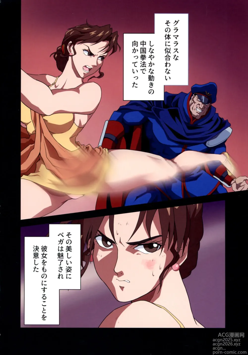 Page 28 of doujinshi ] Street Fighter Ⅱ V Haruurara ga Tadoru Korekara no Monogatari