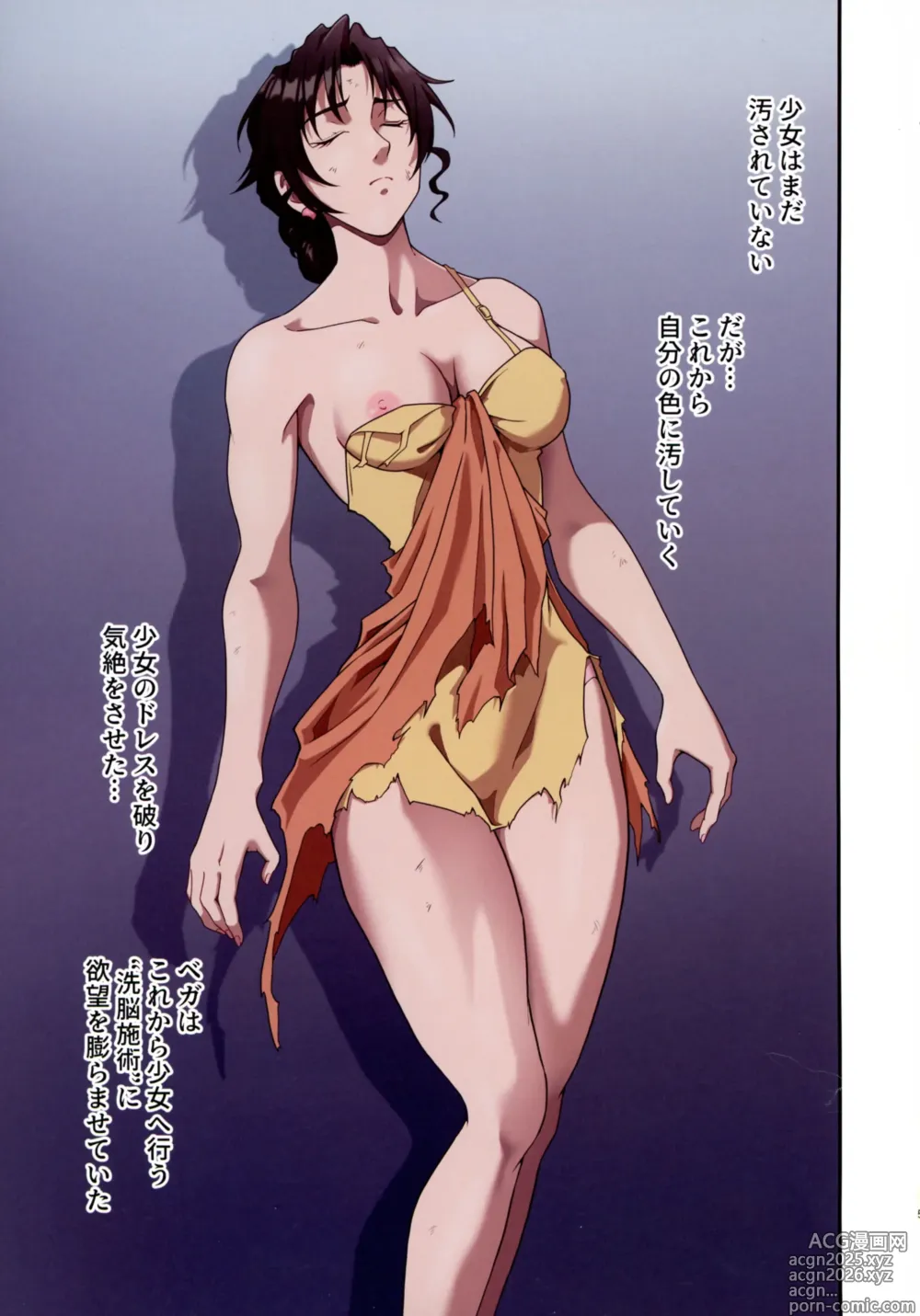 Page 5 of doujinshi ] Street Fighter Ⅱ V Haruurara ga Tadoru Korekara no Monogatari