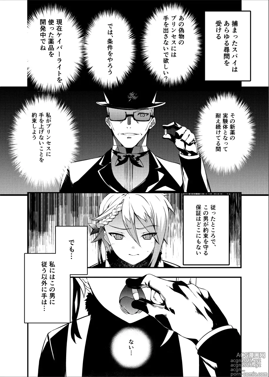 Page 3 of doujinshi Principal Report