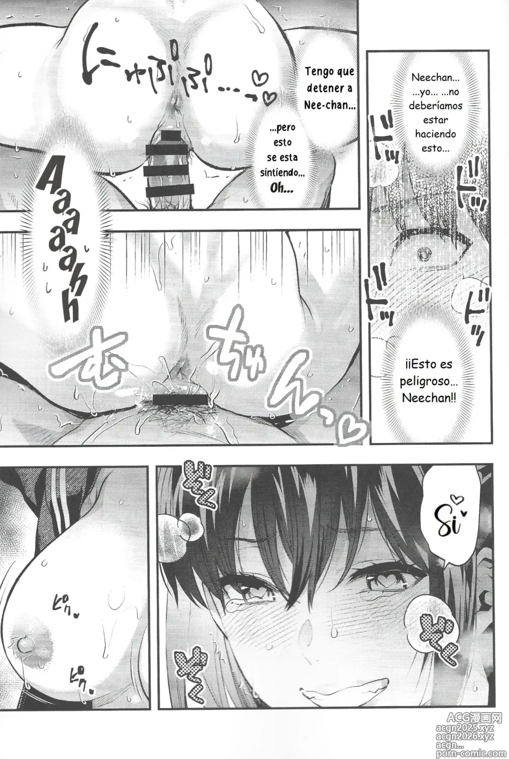 Page 18 of doujinshi Mi Hermana NEET