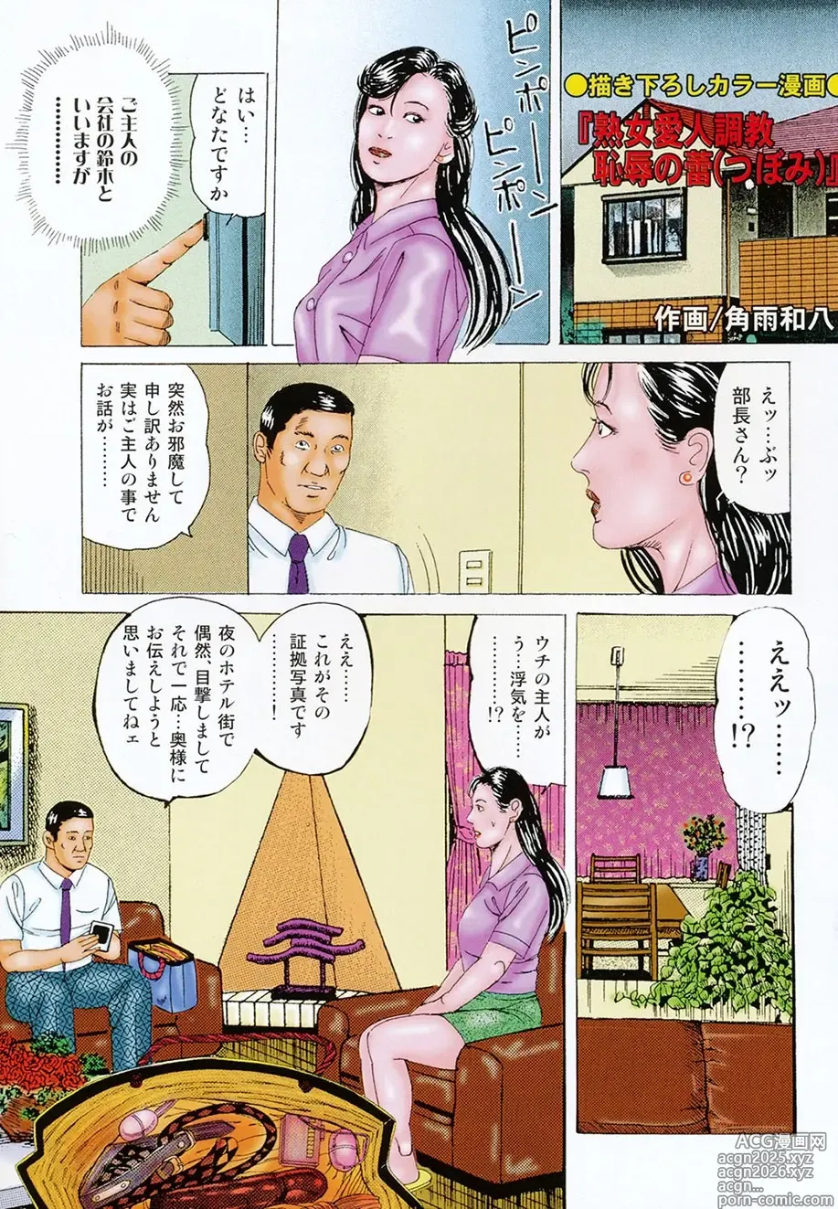Page 2 of manga Kakuu wa Hachi Gekiga sen Nyobon Hitozuma Ryoujoku Rape Shuu