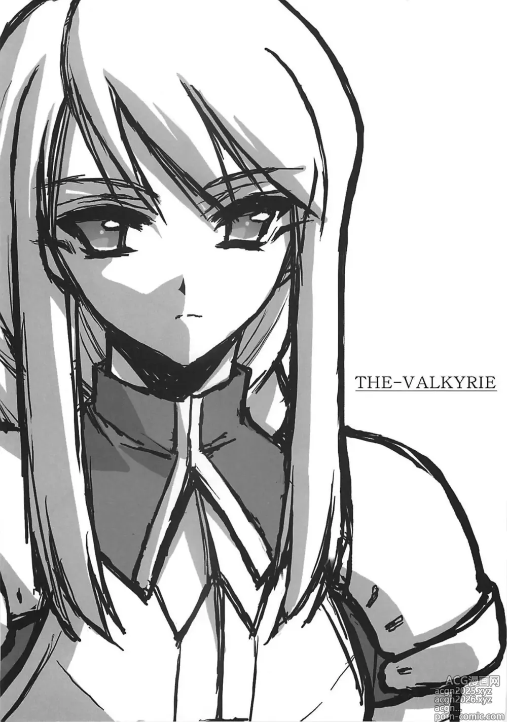 Page 4 of doujinshi THE-VALKYRIE