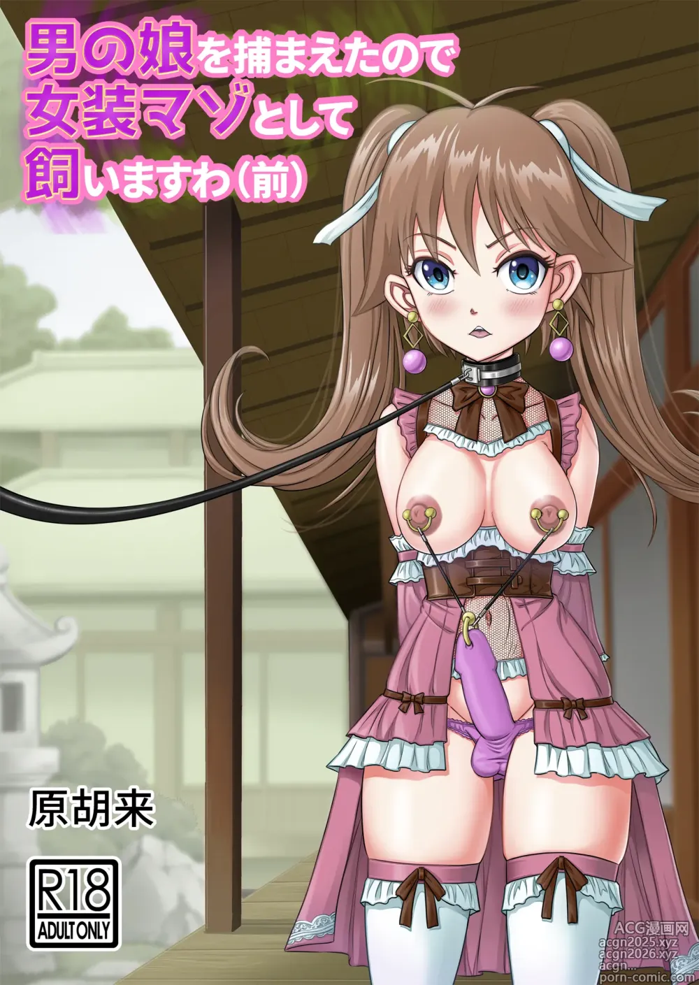 Page 1 of doujinshi Otoko no Musume o Tsukamaetanode Josou Mazo to Shite Kaimasu wa