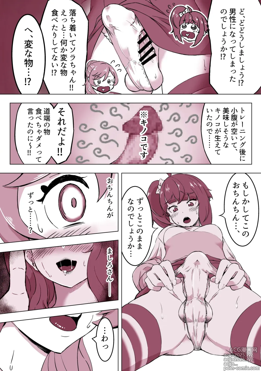 Page 5 of doujinshi Futanaru Sky!