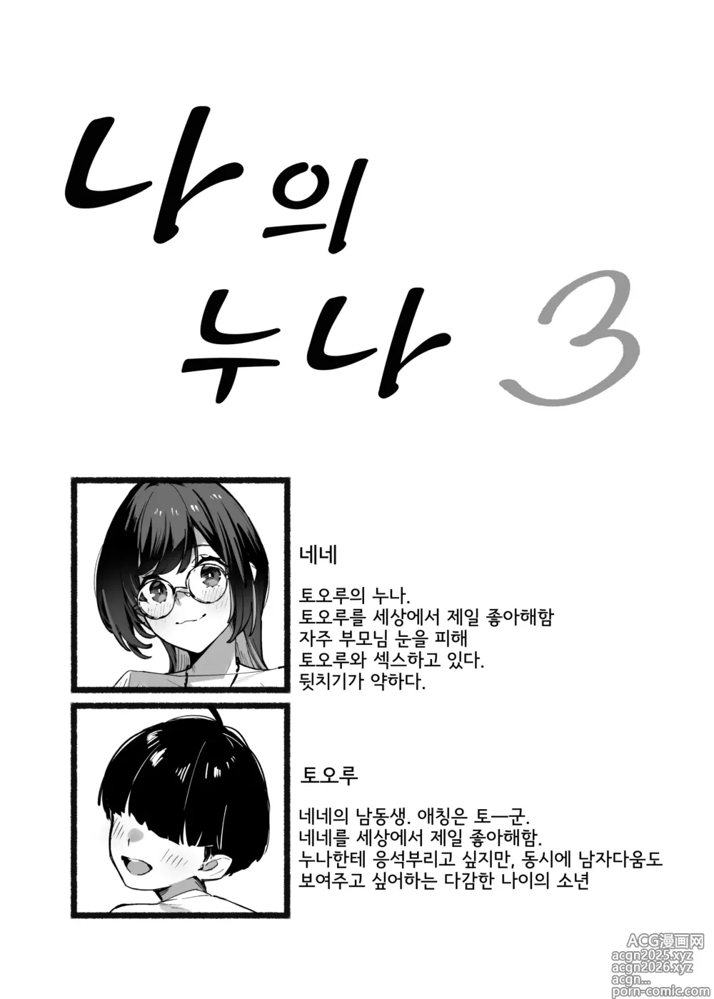 Page 3 of doujinshi 나의 누나