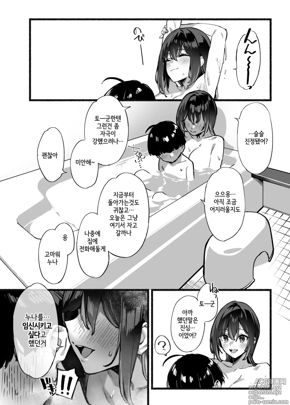Page 27 of doujinshi 나의 누나