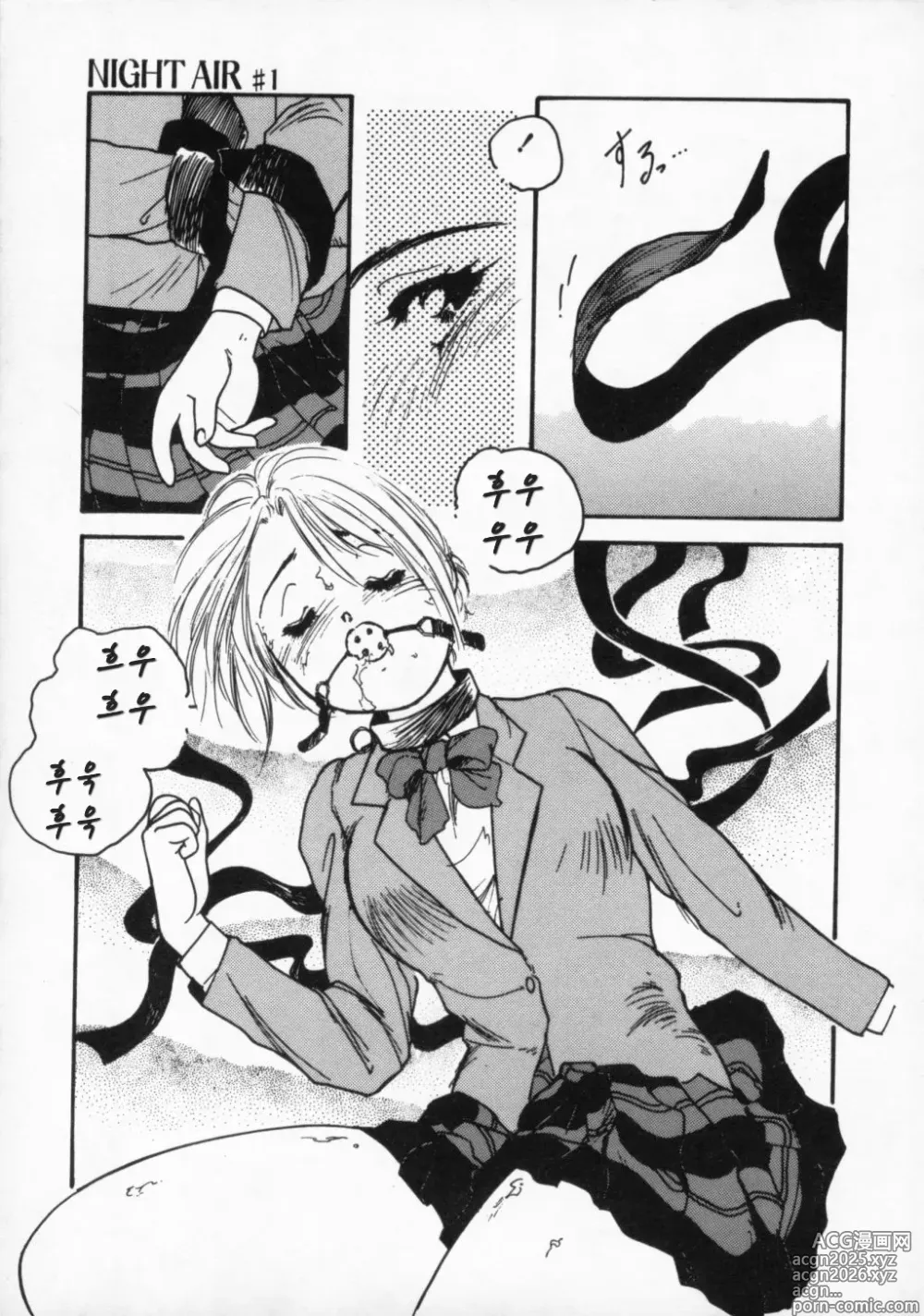 Page 12 of manga Night Air