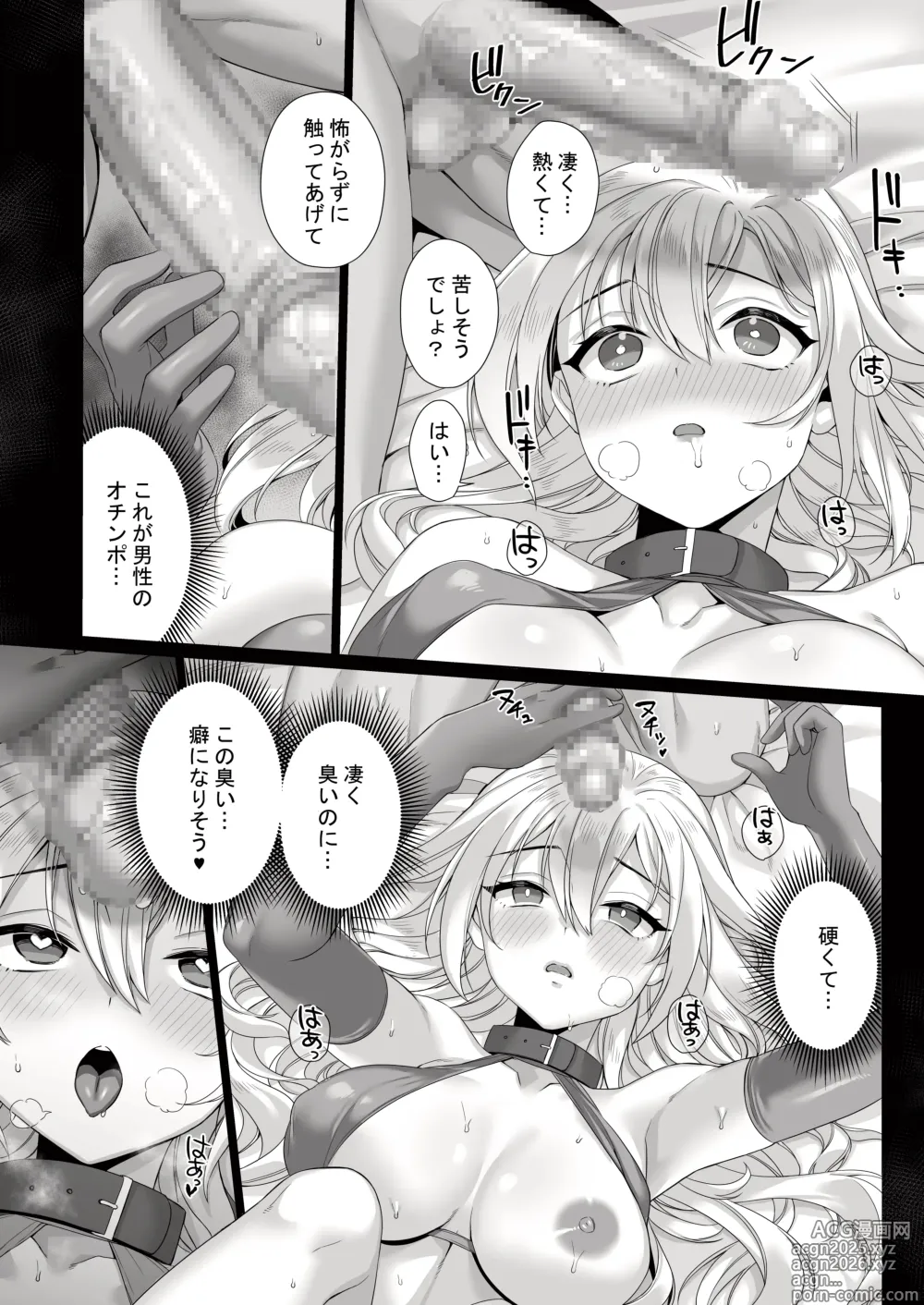 Page 13 of doujinshi Seijo ga Inma ni Ochiru Made