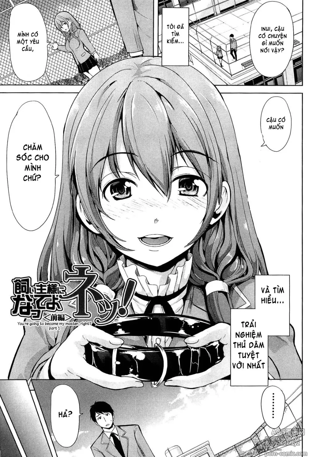 Page 9 of doujinshi Kainushi-sama ni Natte yo ne! (decensored)