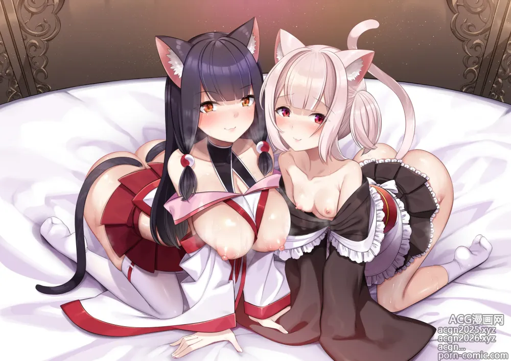 Page 2 of doujinshi Kyonyuu Miko Hime to Binyuu Juusha ga Sorotte Kodane o Motometekuru Kemomimi Zecchou Harem Ecchi ~Otoko ga Umaranai Isekai e Shoukan Sareta Ore ga Heroine o Ategawarete Kozukuri Ecchi 6~
