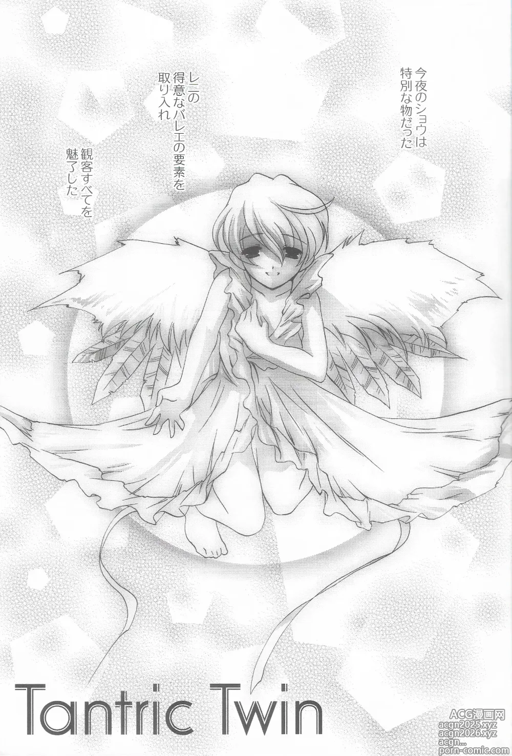 Page 3 of doujinshi Tantric Twin