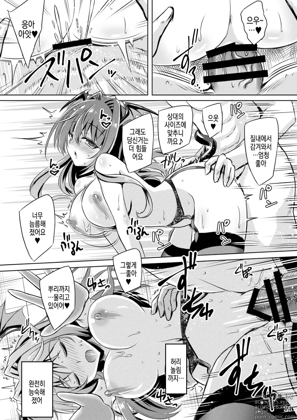 Page 14 of doujinshi Juusha no Tame no Nocturne