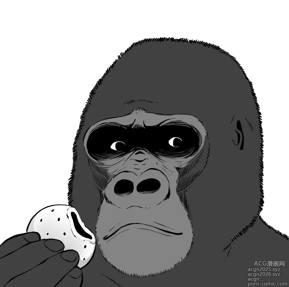 Page 1 of imageset Goma Gorilla