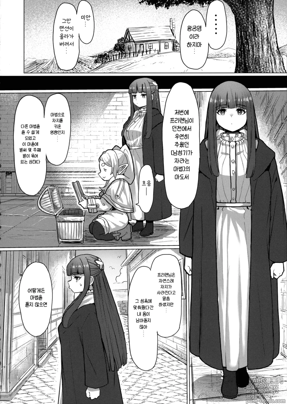 Page 11 of doujinshi 프리렌과 남성기가 자라는 마법