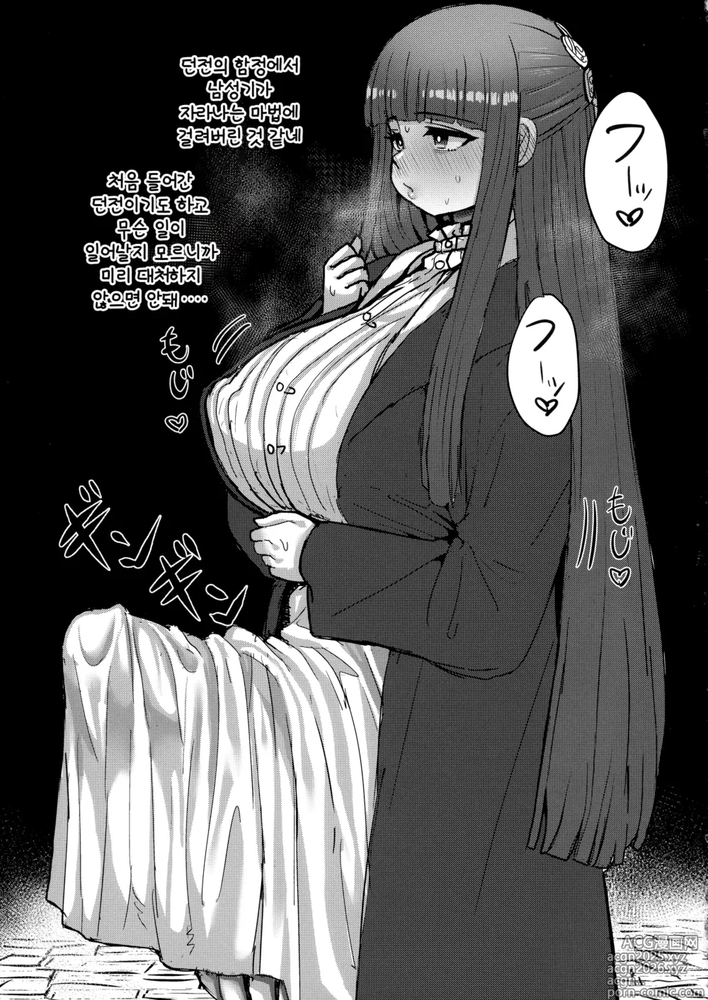 Page 34 of doujinshi 프리렌과 남성기가 자라는 마법