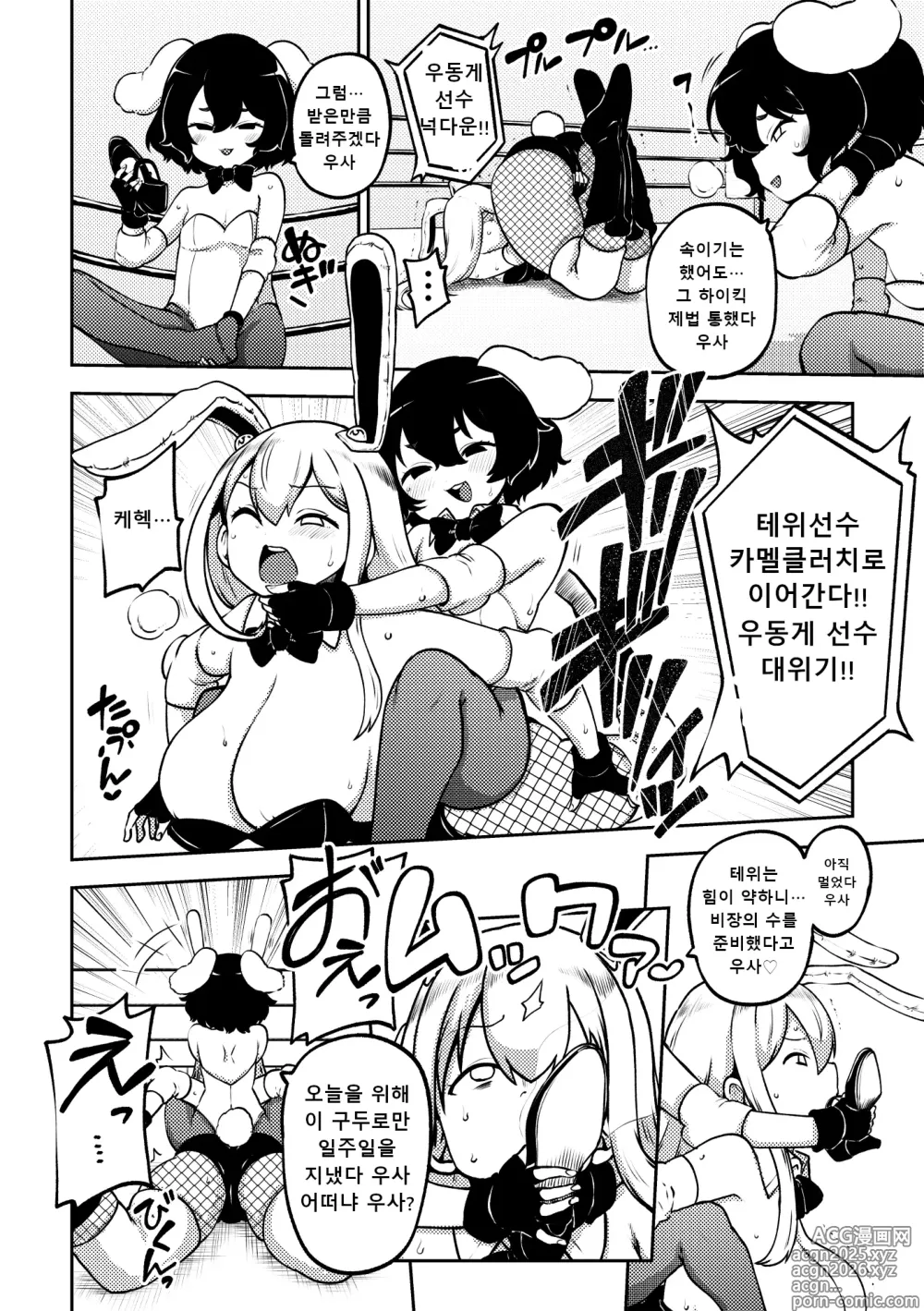 Page 2 of doujinshi 토끼 프로레슬링