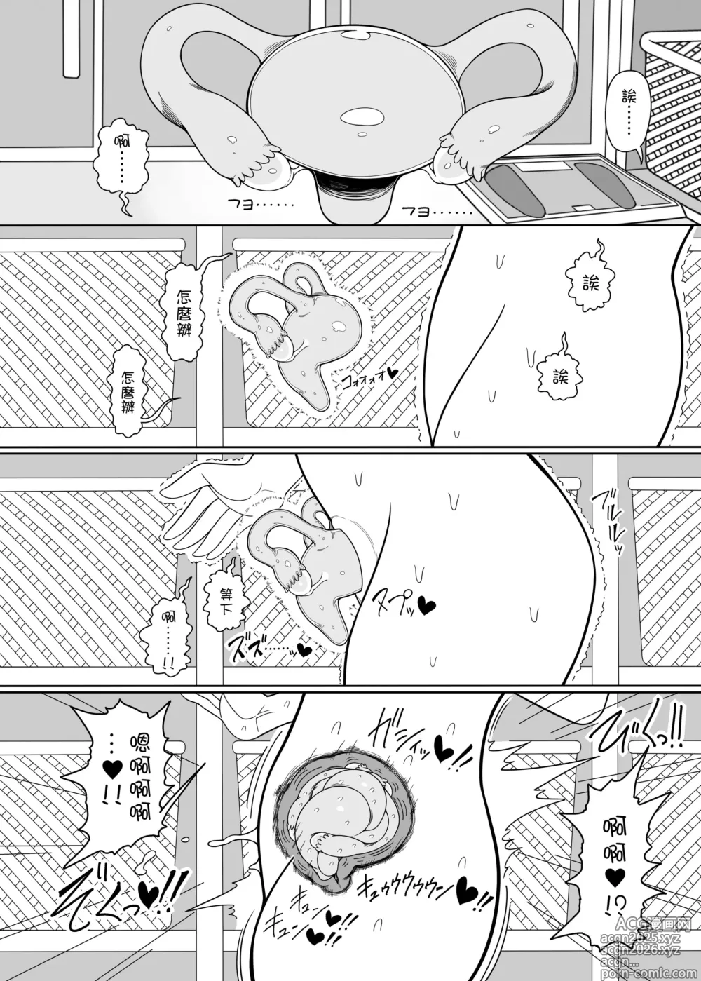 Page 13 of doujinshi 子宫之戀