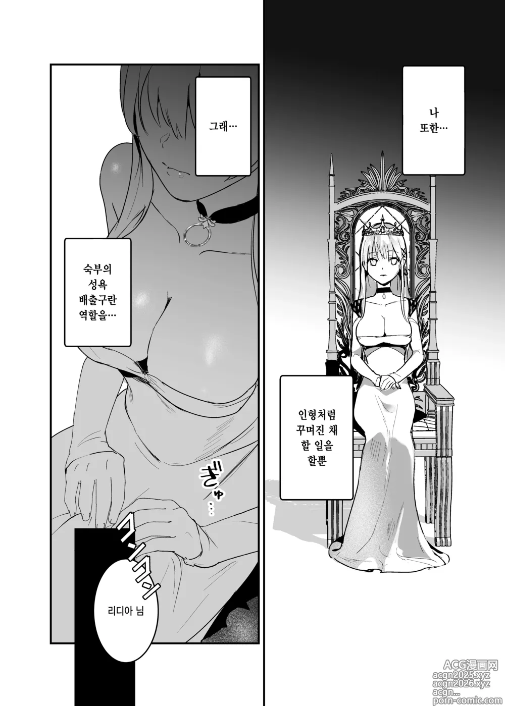 Page 12 of doujinshi 왕녀 함락 2