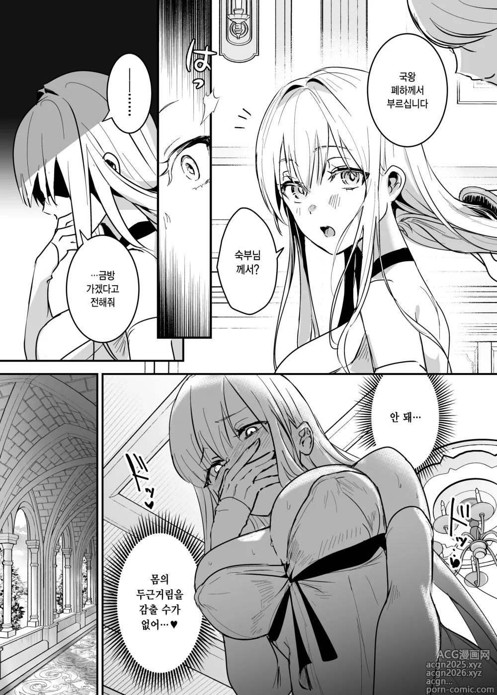 Page 13 of doujinshi 왕녀 함락 2